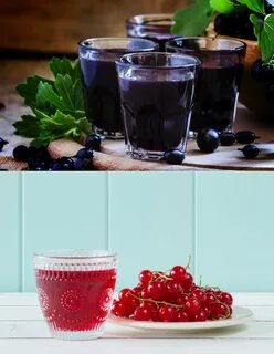 Экстракт смородины