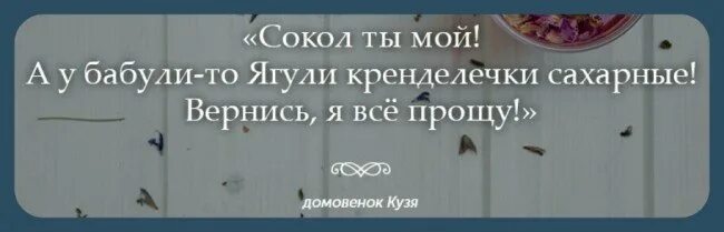 Парящий орел. Сокол. Сокол информация. Смешная птица в полете. Цитаты про орла.