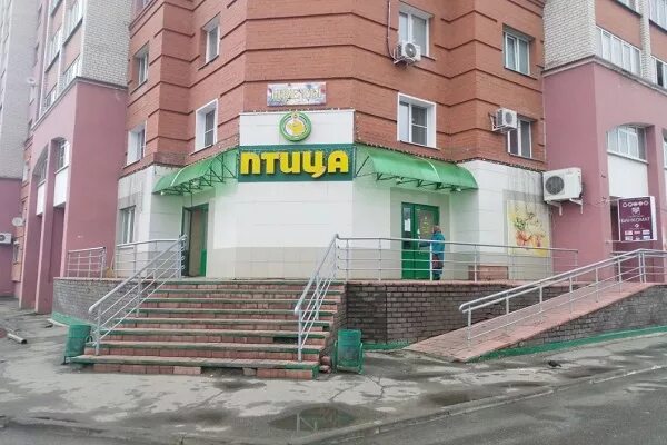 птица саранск адреса