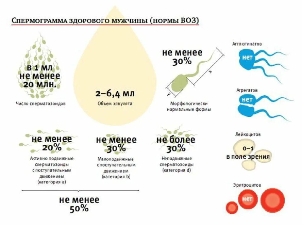 Сколько можно кончиться