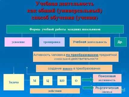Нормы учебной деятельности