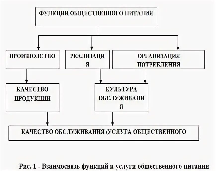 Какие основные функции выполняет питание. Функции предприятий общественного питания. функции предприятий питания. взаимосвязь функций и услуги общественного питания. предприятия общественного питания выполняют функции.