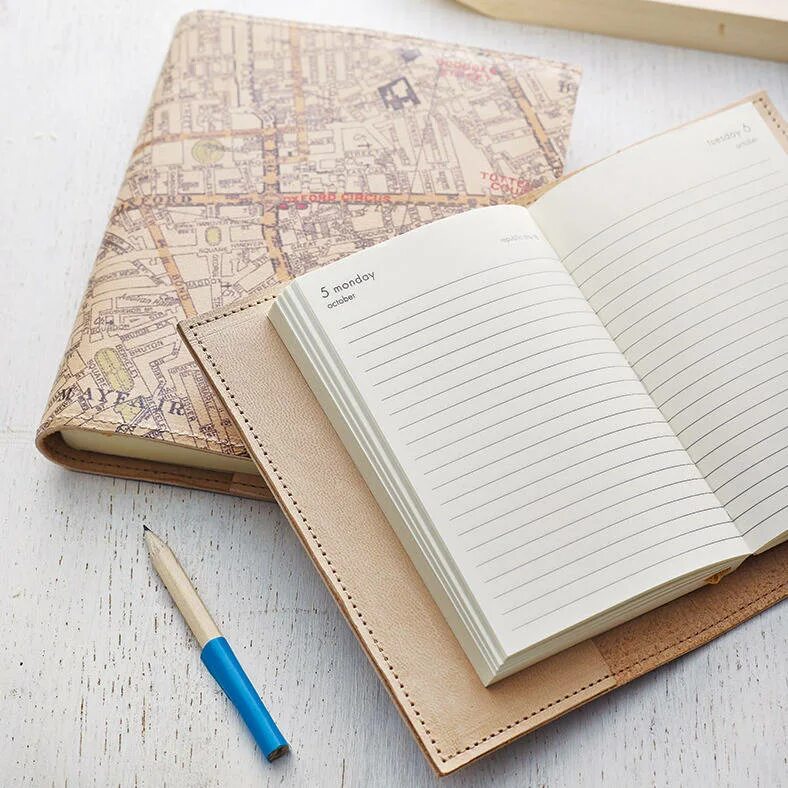 False diary