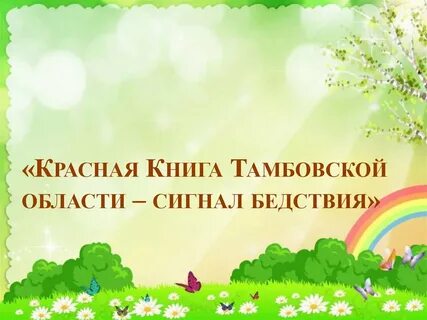 Подготовительной группе красная книга