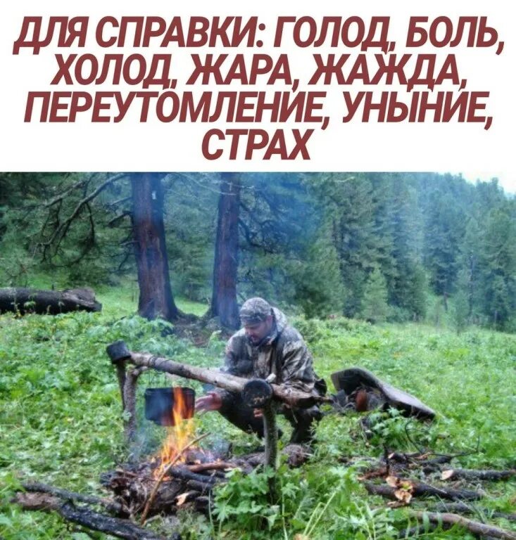 Выжить голод