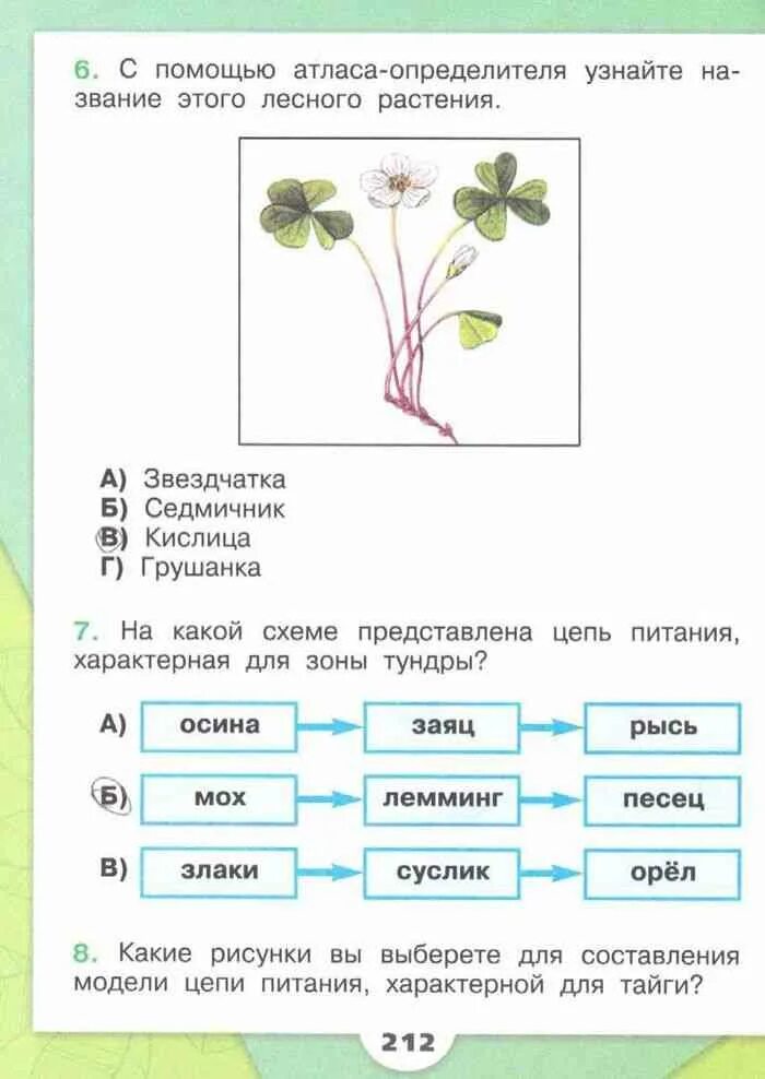 Проверочная работа по растительному сообществу. Задания по атласу определителю растения. Атлас определитель от земли до неба растения леса. С помощью атласа определителя. Атлас определитель растений 4 класс.