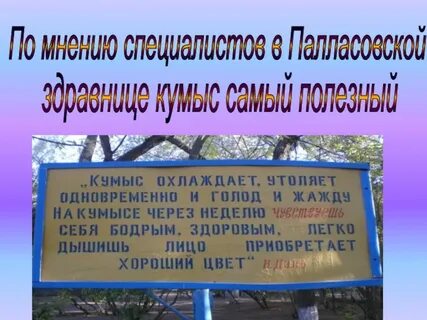 Погода в кумысолечебнице на ближайшие дни