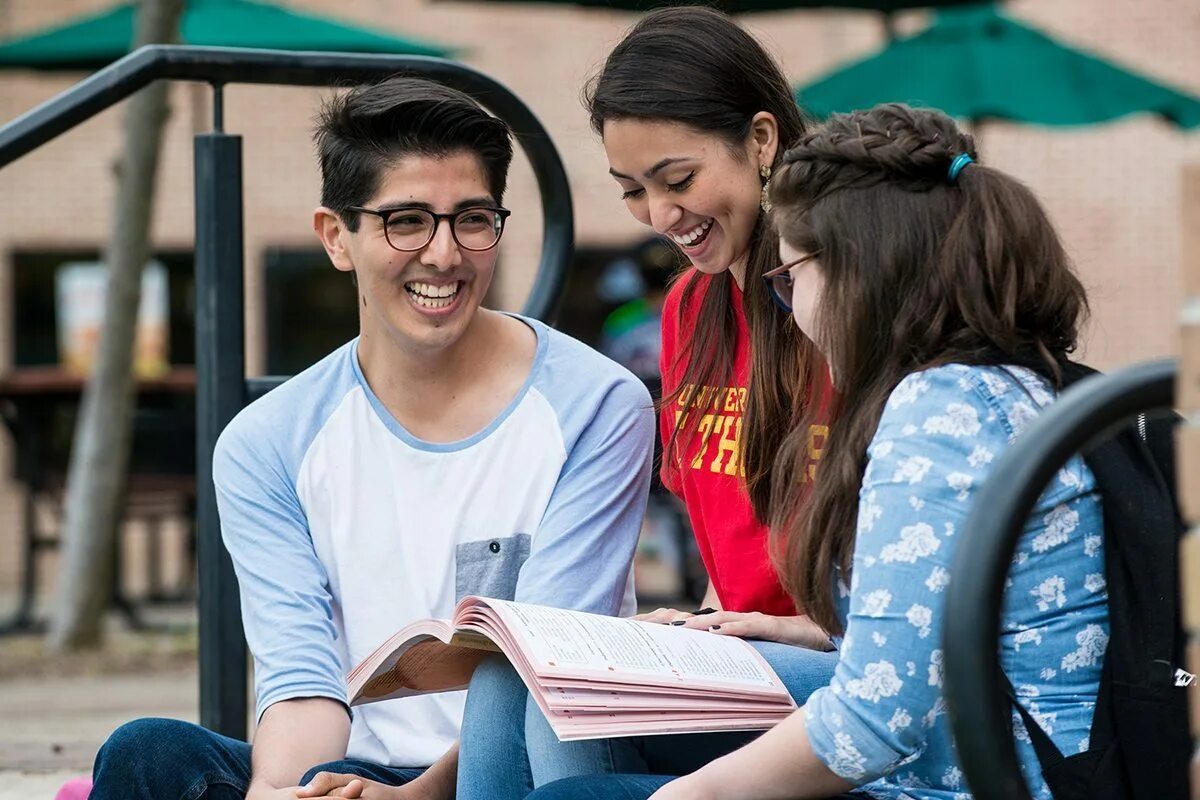 Am a first year student. 3 Типа студентов. Фрешман. Freshman year of College students. Freshmen in the University.