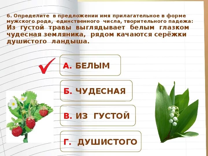 Густая зелень число. О ландыше 3 класс русский язык качественные прилагательные. Предложение с земляникой с именами прилагательными.
