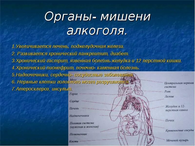 Клетки органы мишени. Органы мишени поджелудочной железы. Железа и орган мишень. Органы мишени гормонов поджелудочной железы.