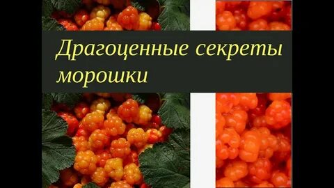 Морошка витамины