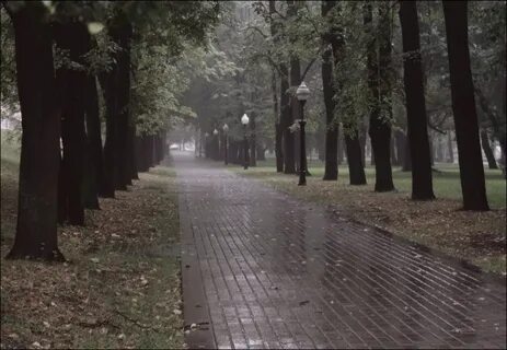 Пасмурный день на улице