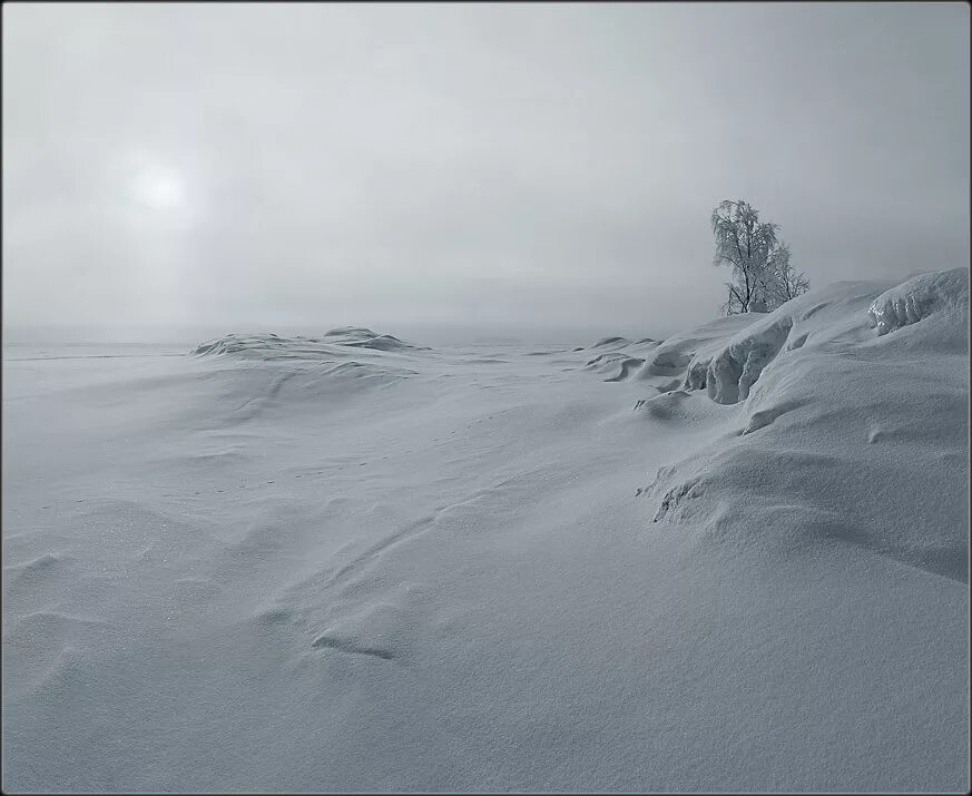 Белое безмолвие фон. Фото белое снежное безмолвие. Внутреннего безмолвия природа. Безмолвие. Белое безмолвие и человек.
