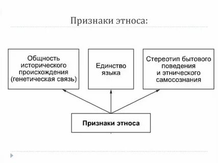 К этнической общности относится элиты
