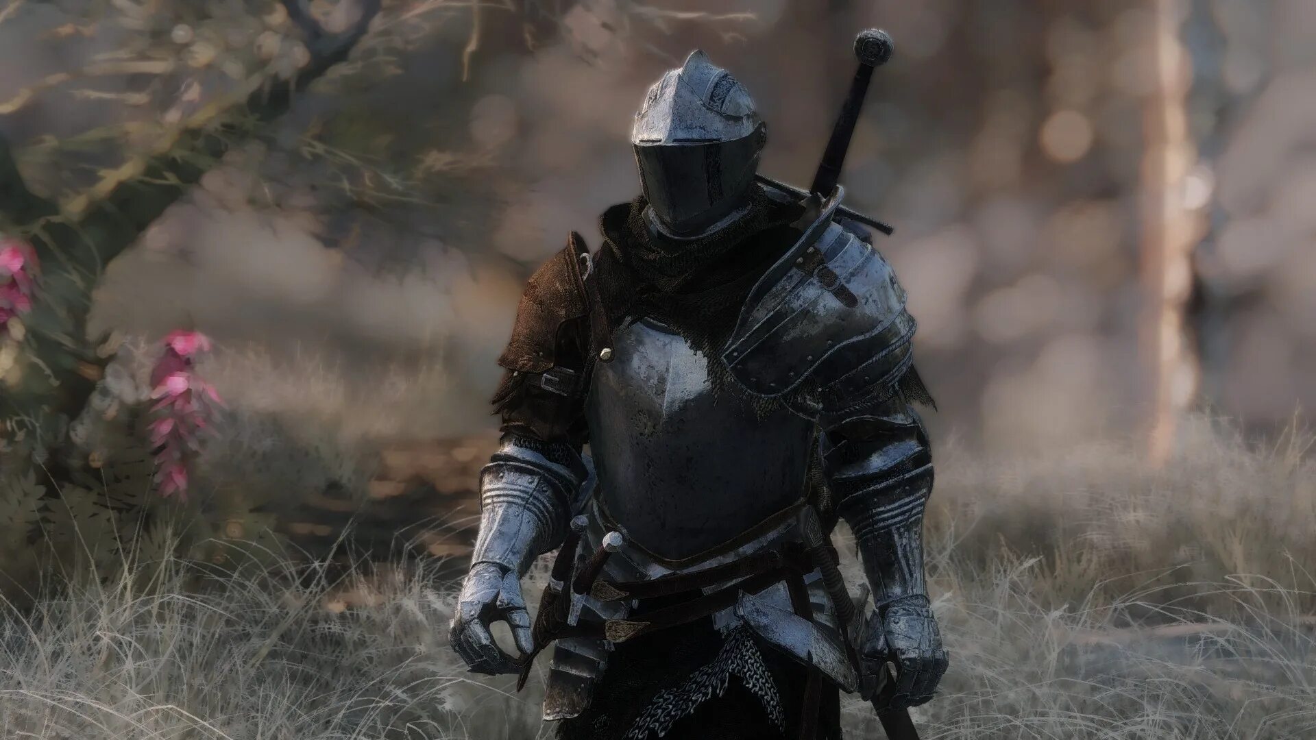 Knight c