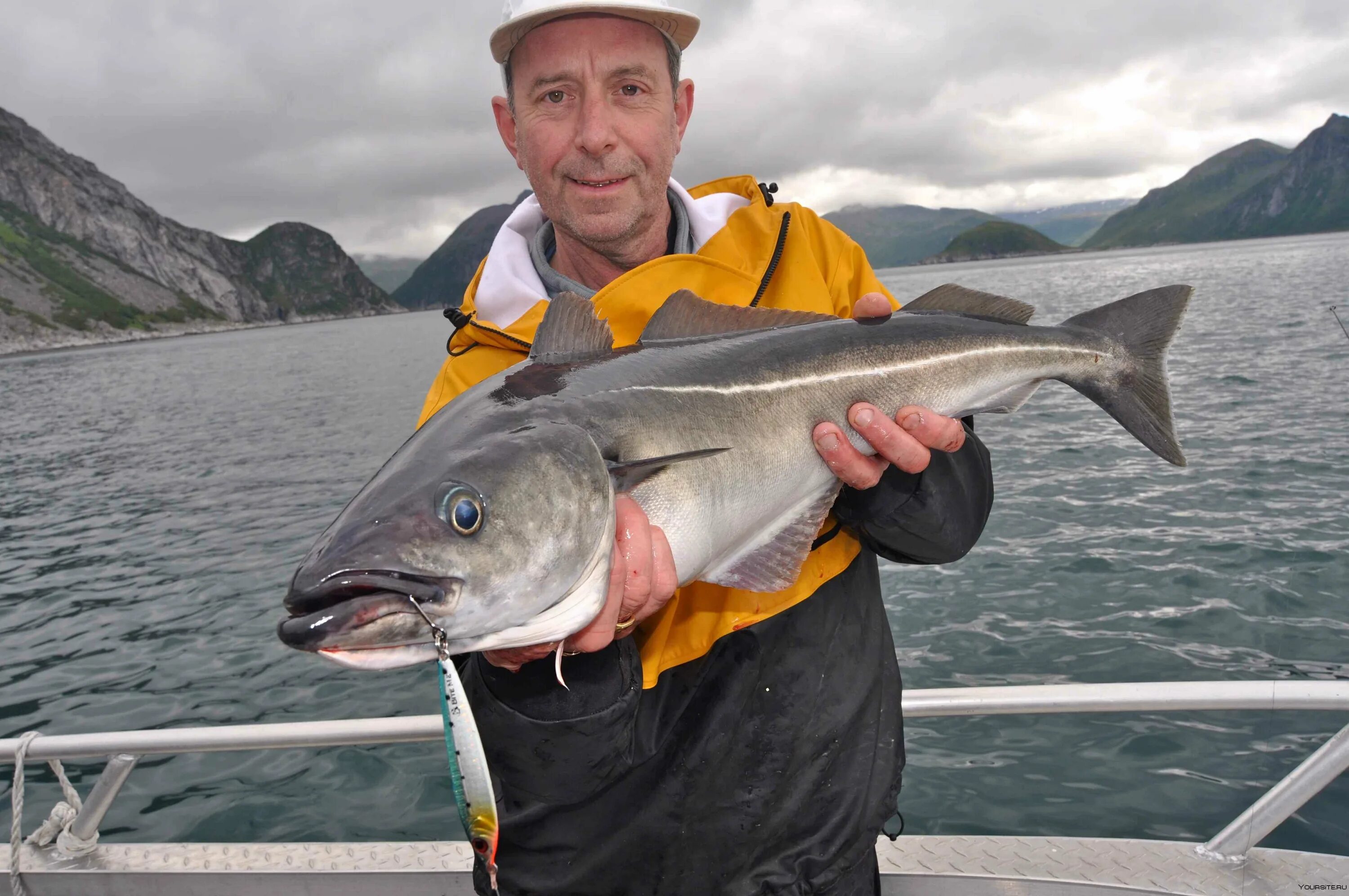 Рыбалка с гидом. Экипировка морская рыбалка. Vip fishing. Рыбалка на яхте. Vip fishing.