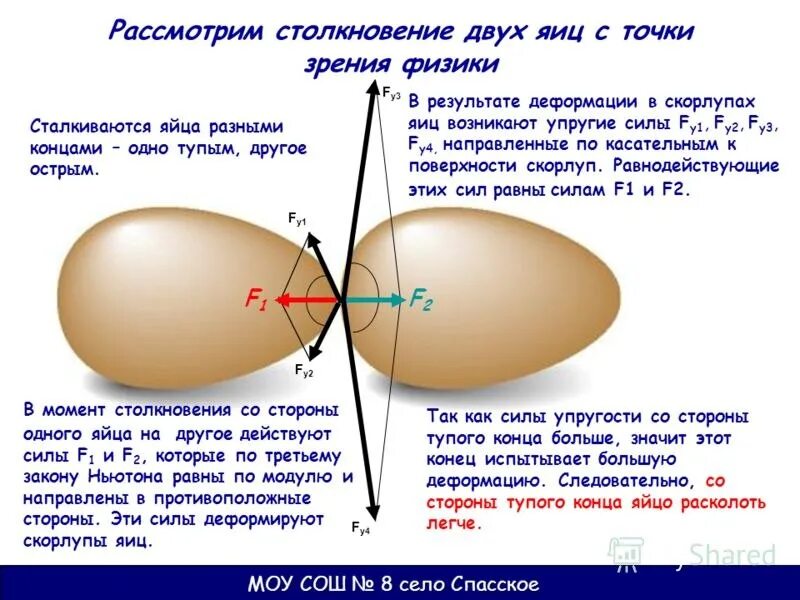 Глупые яйца. Физика яйца. Столкновения яиц с точки зрения физики. Физика куриного яйца. Яйцо и физика презентация.