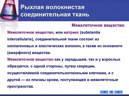 Межклеточное вещество соединительной ткани