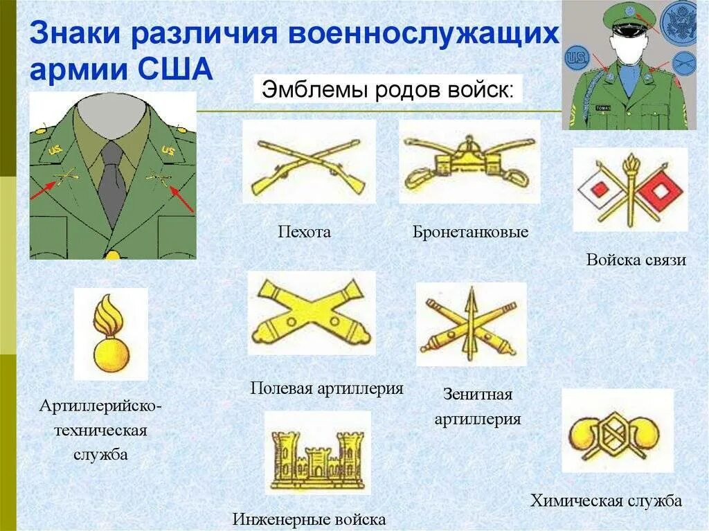 Выберите отдельный род войск. Знаки различия военнослужащих РФ Сухопутные войска. Знаки различия военнослужащих армии США. Форма родов войск США. Знаки различия родов войск США.