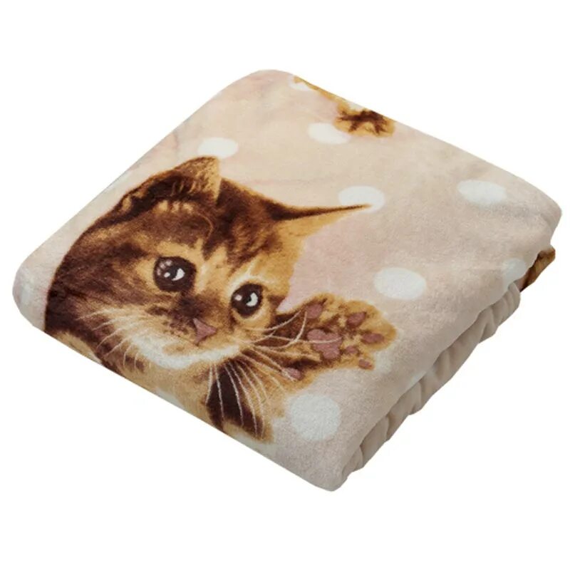 Плед с котами. Плед с кошками. Котик в пледе. Кот в пледе. Котик в одеяле.