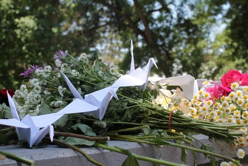 Крокус день памяти журавли. Журавли память о войне. Память погибшим в Великой Отечественной войне Журавли. Памятники Журавли Великой Отечественной войны.