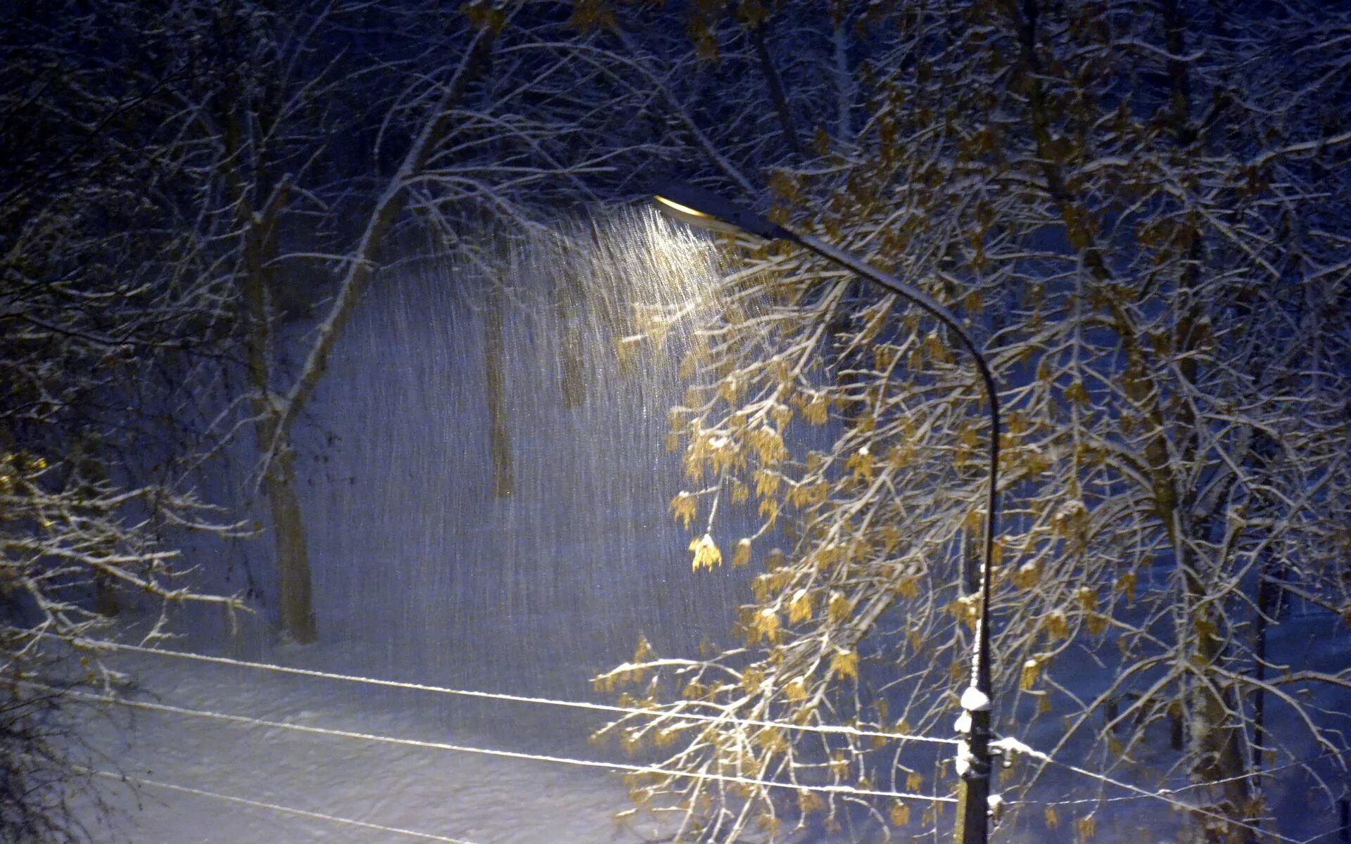 Скрип земли. Снег за окном. Снег за окном ночью. Вечерний снегопад из окна. Зимнее окно ночь.