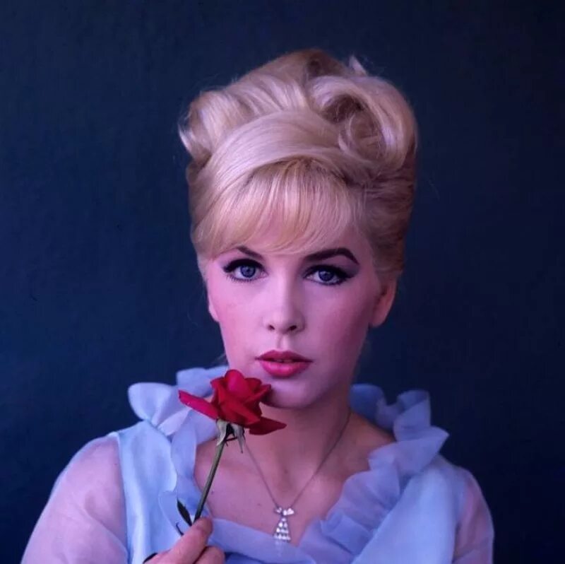 Blonde classics. Stella Stevens. Stella Stevens 1960.