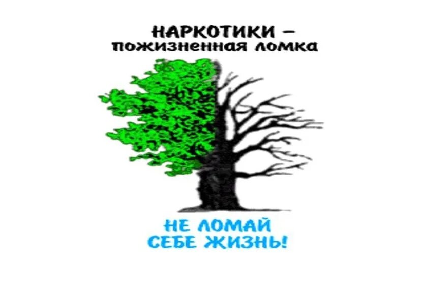 Не ломай ничего