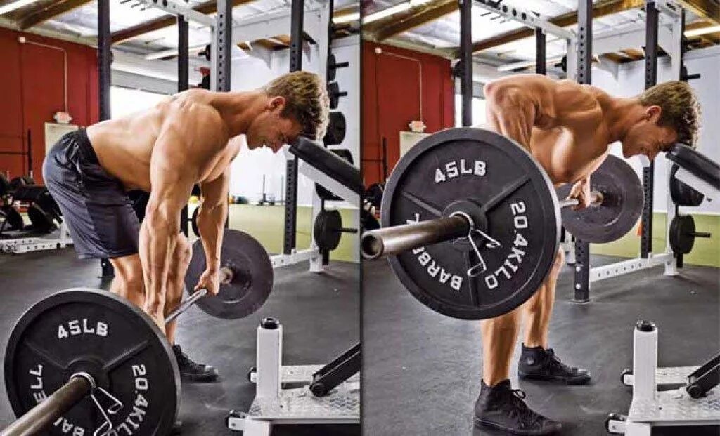 Тяга штанги к поясу в наклоне. Barbell row. Тяга штанги обратным хватом техника. Тяга штанги к поясу в полунаклоне. Тяга штанги к поясу обратным хватом.