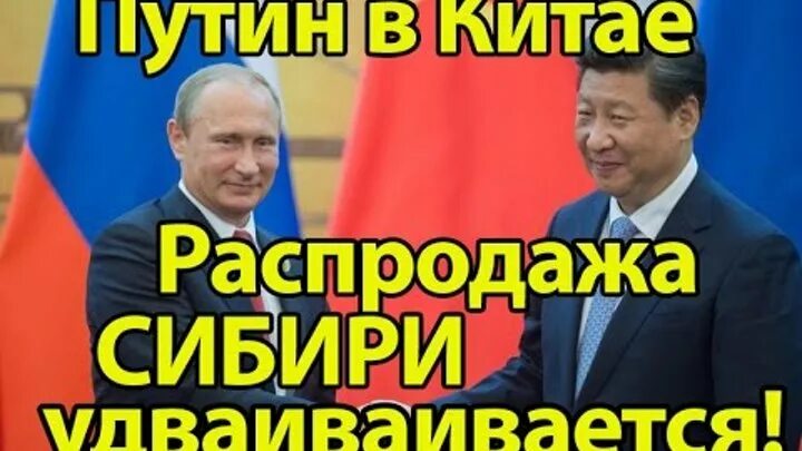 Сибирь продали китаю. Лес продают в китай. Сибирь продали китаю. Байкал продали. Сибирь продали китаю.