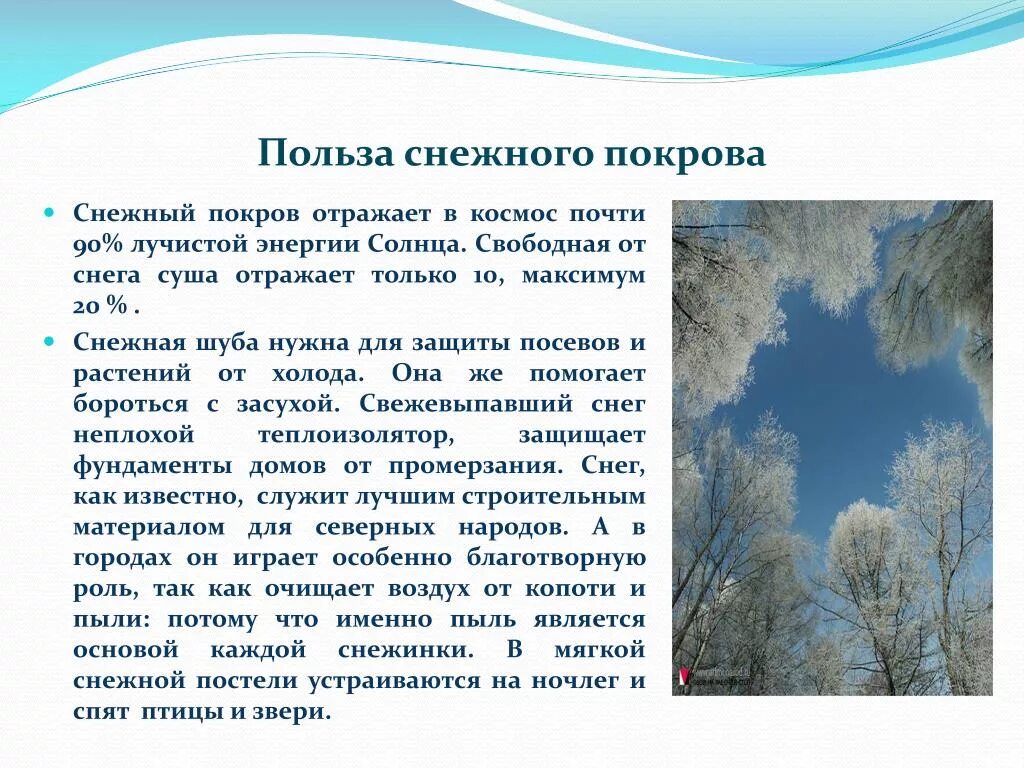 Снежок значение. Польза снега в природе. Строение снежного Покрова. Причины образования снежного Покрова. Роль снежного Покрова для растений.