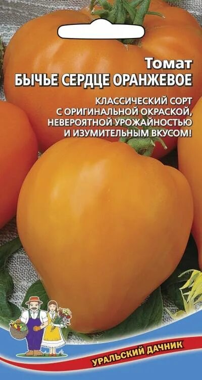 Томат Бычье сердце золотое f1. Томат сорт Бычье сердце оранжевое. Томат Бычье сердце f1. Сорт томата Бычье сердце желтое. Бычье сердце компакт отзывы фото урожайность