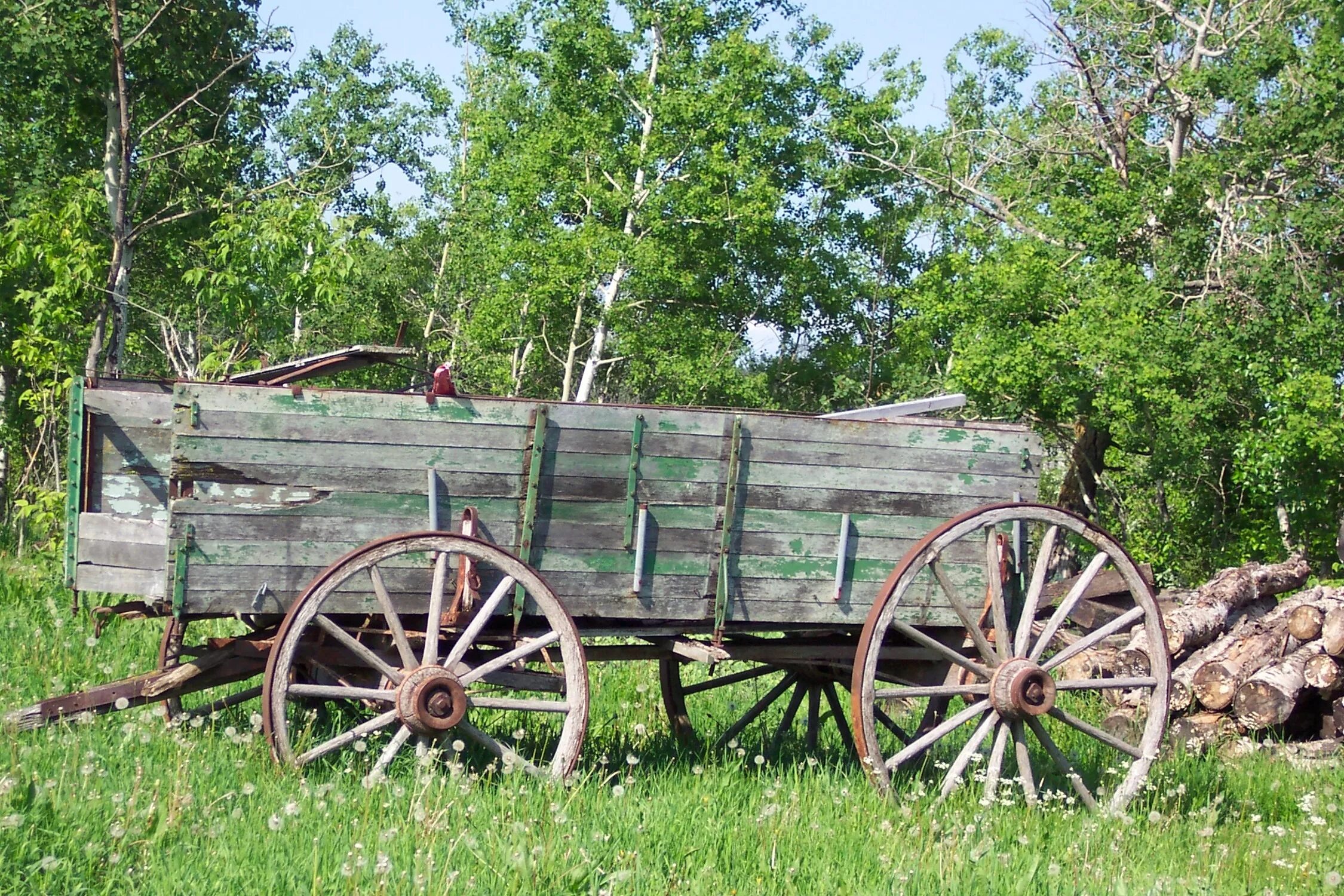 Wagon – тележка, повозка. Повозка Амишей. Башсельхозтехника Конная телега. Старая телега. Зеленого телегу