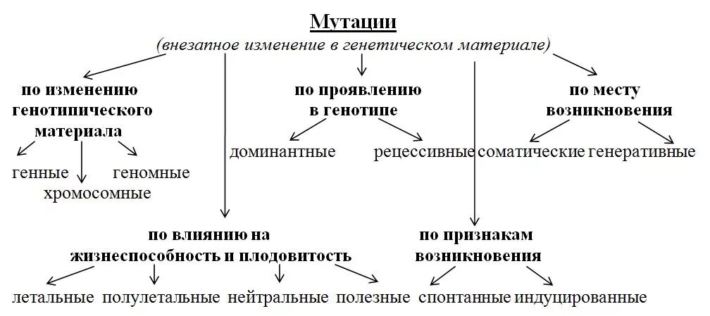 Мутационная изменчивость схема. Схема классификации генных мутаций. Мутации по изменению генетического материала схема. Схема классификации мутаций хромосомные геномные. Изменчивость таблица биология