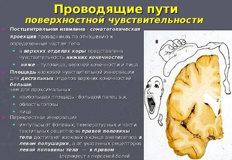 Почему половина