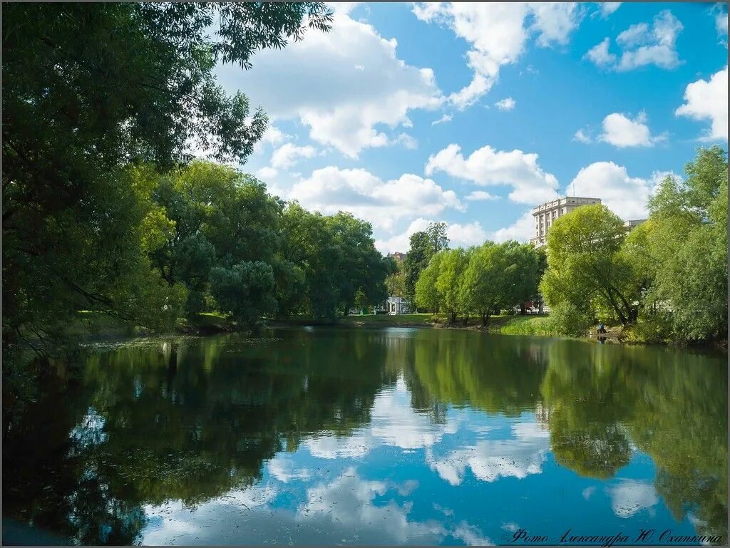 Лефортово москва. Лефортовский парк Москва. Лефортовский парк Москва лето. Лефортово (район Москвы). Пруды в Лефортовском парке.