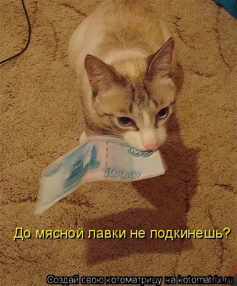 Погоня за деньгами. Отслужил в армии. Надо управлять а не служить. Деньгами надо управлять а не служить. Служил в армии не служил в армии мем.