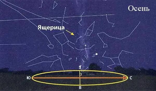 Созвездие ящера. Созвездие ящера. Созвездие ящера. Созвездия северного полушария. Созвездие ящера.