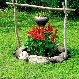Пламя на клумбе