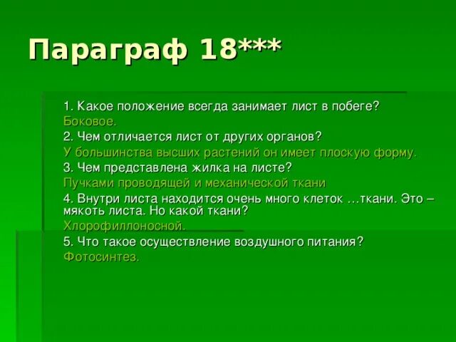 Какое положение занимает лист на побеге. Какое положение занимает лист. чем отличается лист от других органов растения. чем отличается лист от дрдругих органов.
