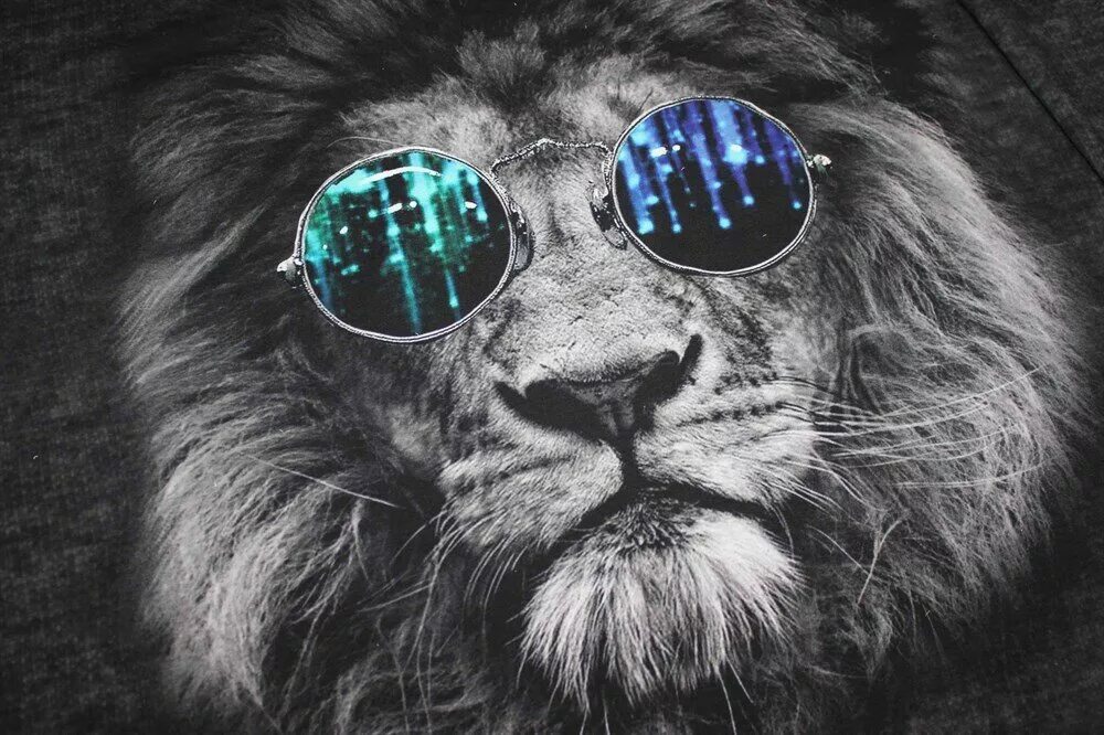 lion attitude Lion photography, Lion images, Lions photos