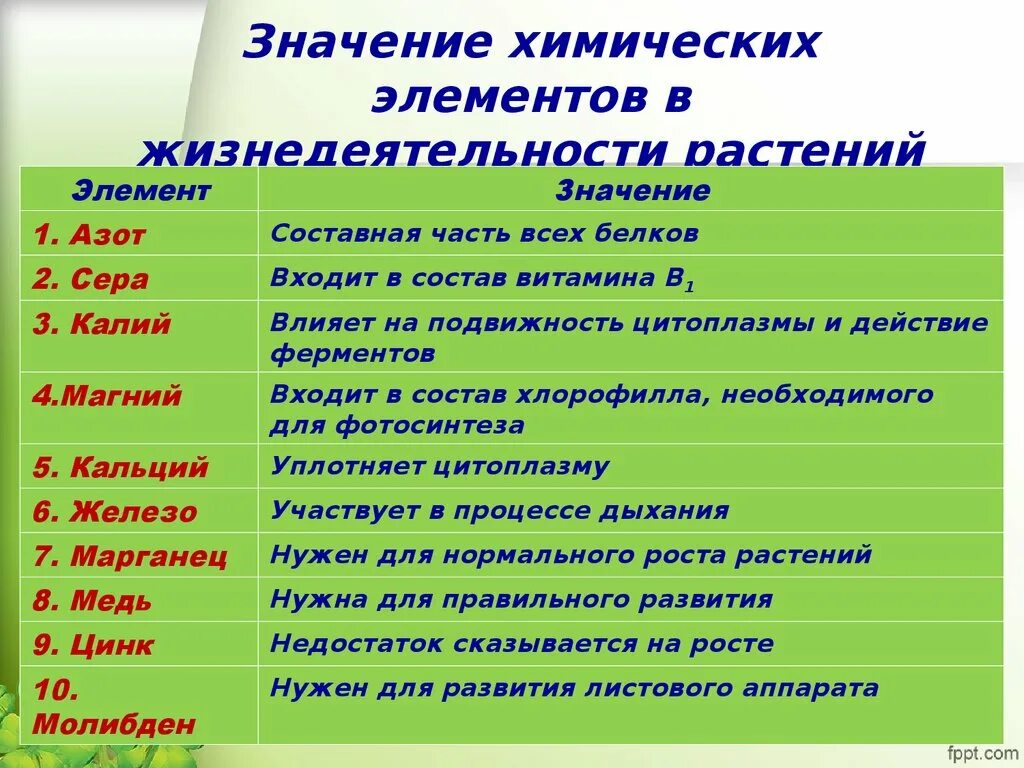 Для чего нужны компоненты. Химические элементы в растениях. Химические элементы необходимые растениям. Значение химических элементов. Химические элементы в жизни растений.