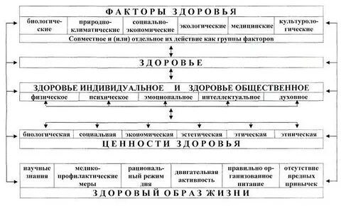 Таблица здорового