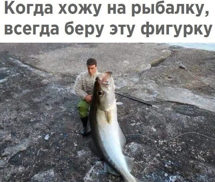 Когда идти на рыбалку. Мемы про рыбалку. приколы на рыбалке. рыбак мемы. мемы про рыбаков.