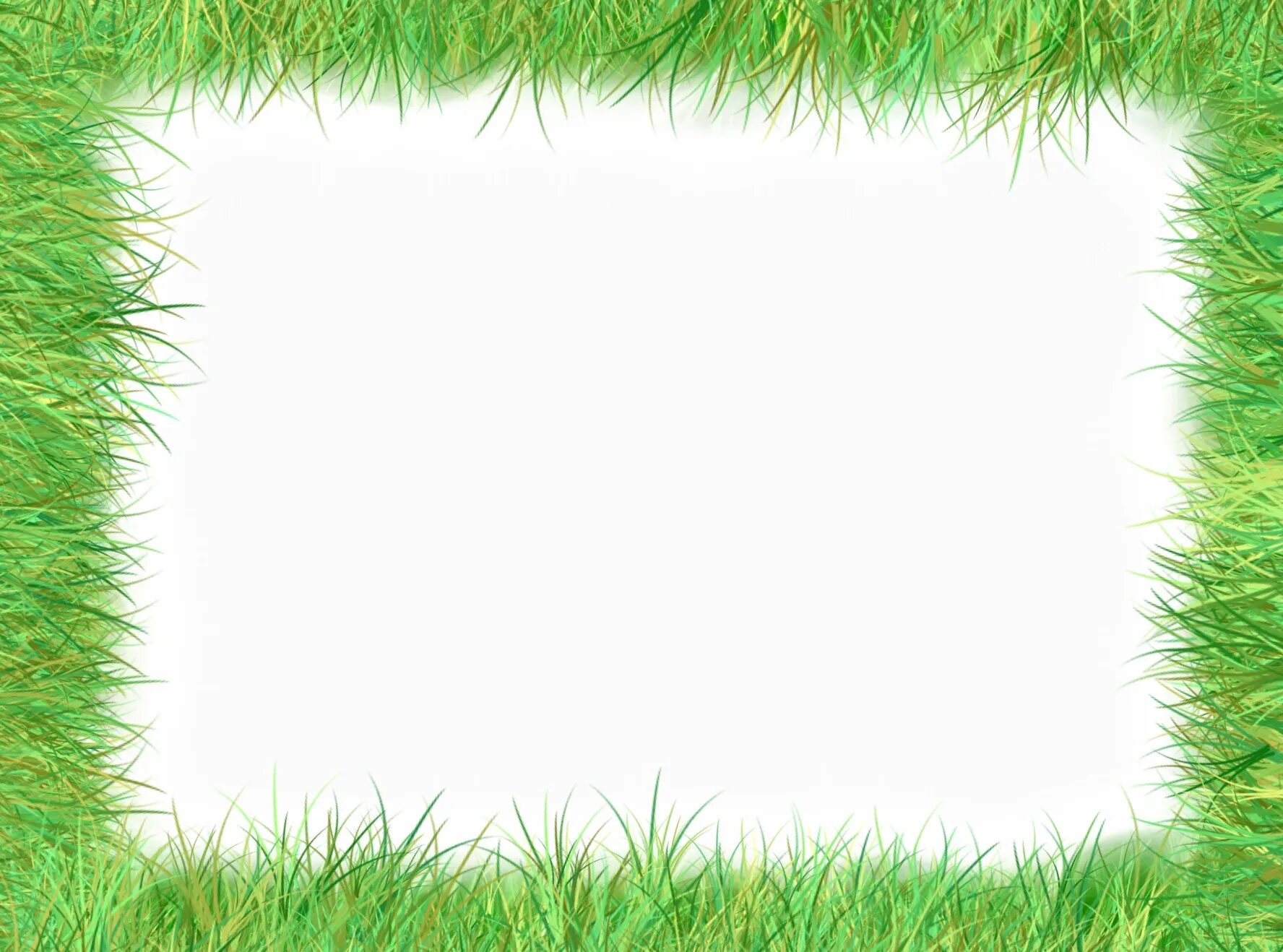 Eco frame: найдено 86 картинок