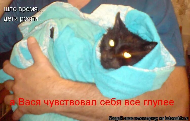 приколы про васю в картинках. кот бесоебит. Love is надпись. л любовь. вась почувствуй.