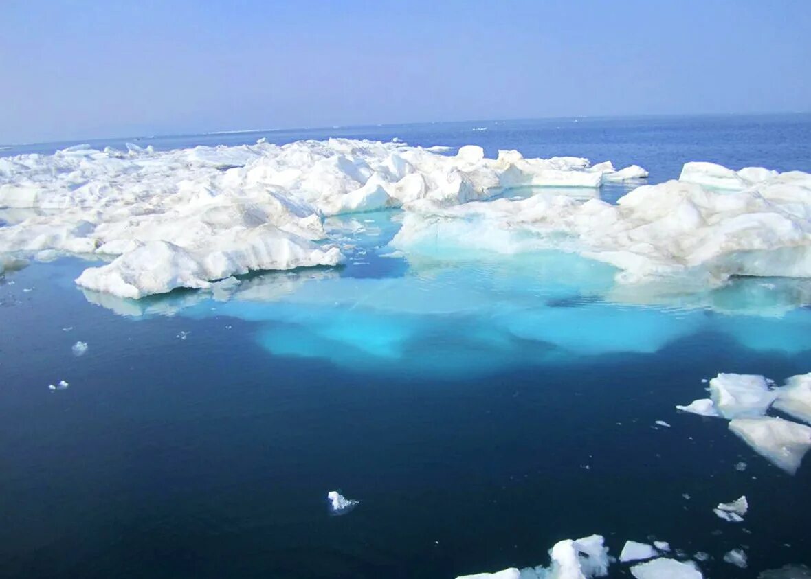 Крупное море северного ледовитого океана