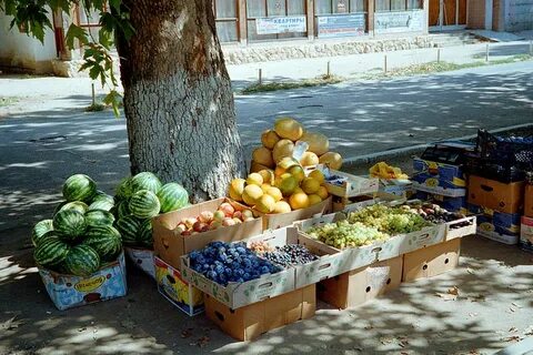 Какие фрукты растут в крыму