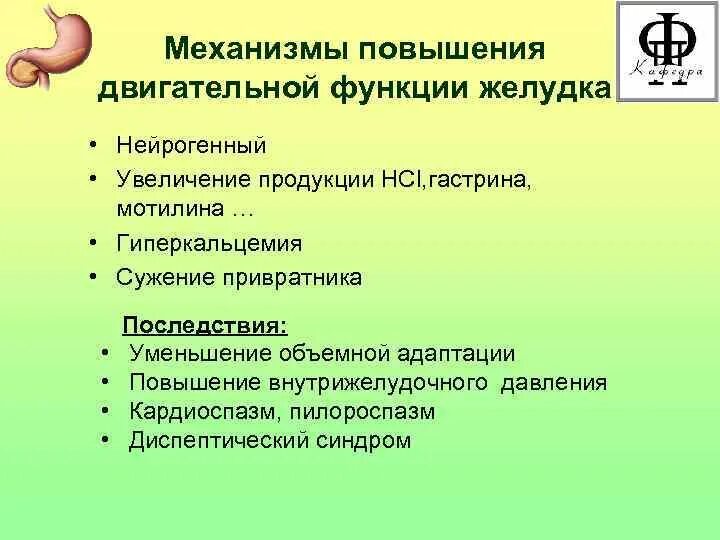 1 функции желудка. Механизмы уменьшения двигательной функции желудка. механизмы увеличения двигательной функции желудка. усиление двигательной функции. гастрин функции.