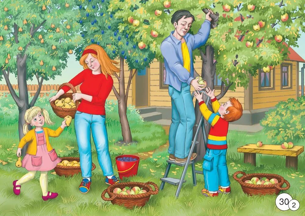 Сюжетные картины для детей. Сюжетная картина в саду осенью. Сбор урожая картинки для детей. Сюжетные картины для дошкольников. Папа с дедушкой на садовом участке